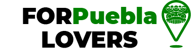 Best Pnl Courses Puebla Near Me